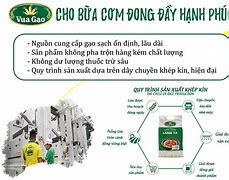 Gạo Lứt Đồ Là Gì