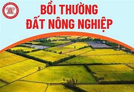 Giá Bồi Thường Đất Nông Nghiệp Đồng Nai