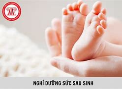 Mẫu Dưỡng Sức Sau Thai Sản Mới Nhất