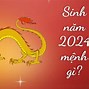 Năm 2024 Là Năm Xui Của Con Giáp Nào